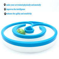 Interactive Cat Track Circle with LED Sound Light Rolling Ball - Chase Play Toy