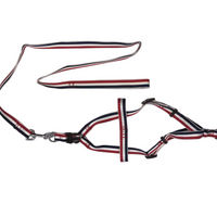 YES4PETS 2 X Large Pet Dog Harness Collar leash lead