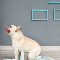 YES4PETS Medium Portable Dog Potty Training Tray Pet Puppy Toilet Trays Loo Pad Mat Blue