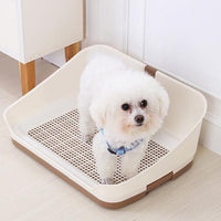 Cute puppy standing in a portable dog potty training tray, ideal for indoor toilet training.