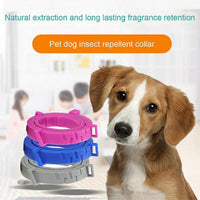 Short Adjustable Pet Anti Flea Tick Neck Collar For Dog Cat Kitten 8 Months Protect - Grey