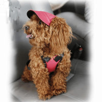 Dog Baseball Cap Outdoor Pet Sun Hat Summer Canvas Visor Puppy XL - Red
