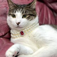 3-pcs Red Diamond Double Strand Pearl & Rhinestone Pet Necklace - Luxury Collar for Cats & Dogs Size M (25-31CM)