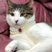 3-pcs Red Diamond Double Strand Pearl & Rhinestone Pet Necklace - Luxury Collar for Cats & Dogs Size L (30-36cm)