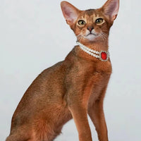 3-pcs Red Diamond Double Strand Pearl & Rhinestone Pet Necklace - Luxury Collar for Cats & Dogs Size L (30-36cm)