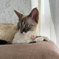 3-pcs Pink Diamond Double Strand Pearl & Rhinestone Pet Necklace - Luxury Collar for Cats & Dogs Size L (30-36cm)