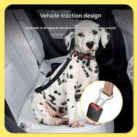 Black Shock Absorbing Dog Leash with Reflective Stitching - 135cm for Small to Large Dogs