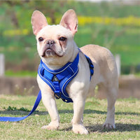 Blue Reflective Mesh Dog Harness and Leash Set - Adjustable No-Pull Vest - S