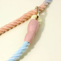 Colorful Vibrant Rainbow Ombre Rope Dog Leash - Durable Nylon P-Chain Slip Lead for Small & Medium Breeds