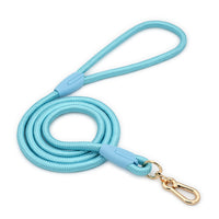 Blue Durable Nylon P-Collar Dog Training Set - Heavy Duty Leash & Martingale Collar (Size : L)
