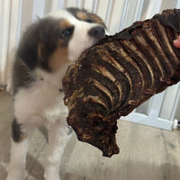 1x Just Kangaroo Rib Racks
