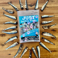 1x Just Sardine Trunks