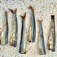 1x Just Sardine Trunks