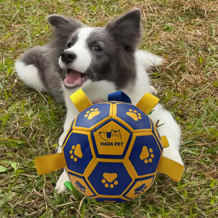 Dog toy with rope Little Yellow Duck plush interactive tennis, suitable for tug-of-war, birthday gift for small dogs, draggable and durable water ball, special for small and medium-sized dogs, made of high quality PU material, which can be kicked and play