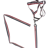 YES4PETS 2 X Large Pet Dog Harness Collar leash lead