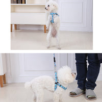 YES4PETS 2 X Medium Pet Dog Cat Puppy Kitten Rabbit Dog Harness Collar leash lead 5 Color