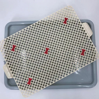 YES4PETS Small Portable Dog Potty Training Tray Mat Pet Puppy Toilet Trays Loo Pad Blue