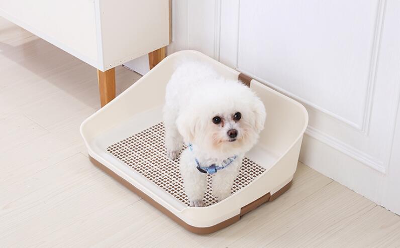 Cute puppy standing in a portable dog potty training tray, ideal for indoor toilet training.