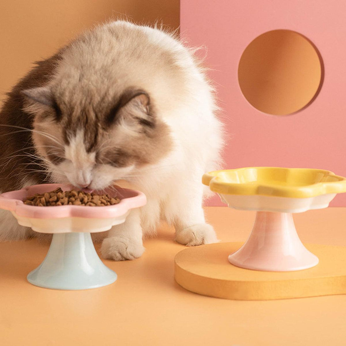 Flower Ceramic Cat Bowl Pet Food Bowl Snack Tray for Cats and Small Pets Feeding - Blue