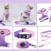 S Blue Adjustable Soft Pet Harness with Leash & Poop Bag Dispenser