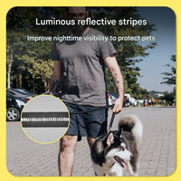 Black Shock Absorbing Dog Leash with Reflective Stitching - 135cm for Small to Large Dogs