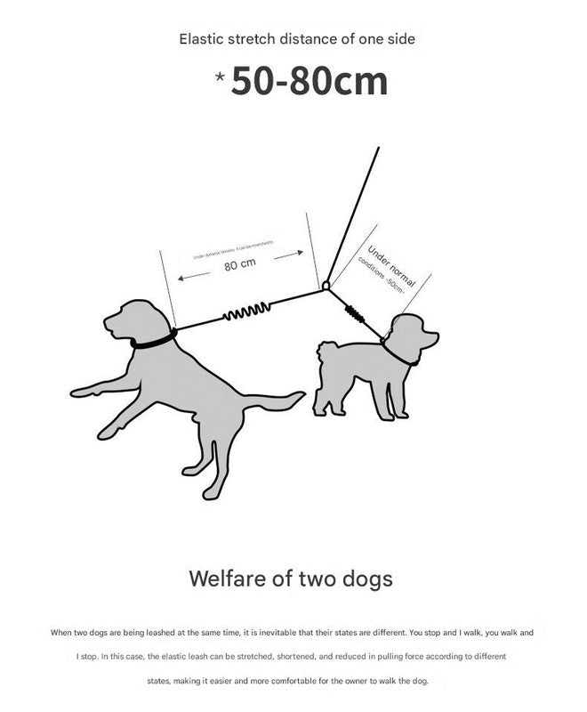 Purple Pet Double-Ended Rope + 1.5M Leash - Easy to walk two dogs, tangle-free design