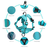 Blue Reflective Mesh Dog Harness and Leash Set - Adjustable No-Pull Vest - L