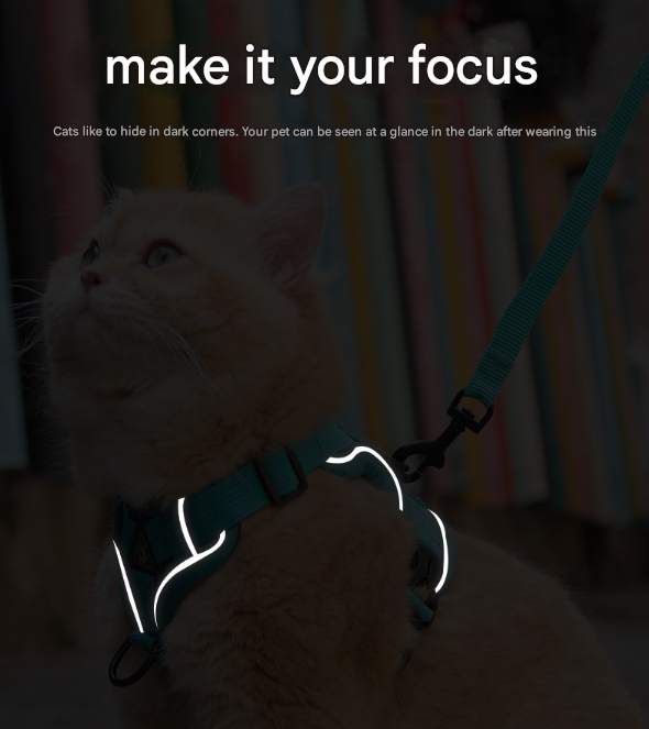 Rose Red Reflective Mesh Dog Harness and Leash Set - Adjustable No-Pull Vest - S