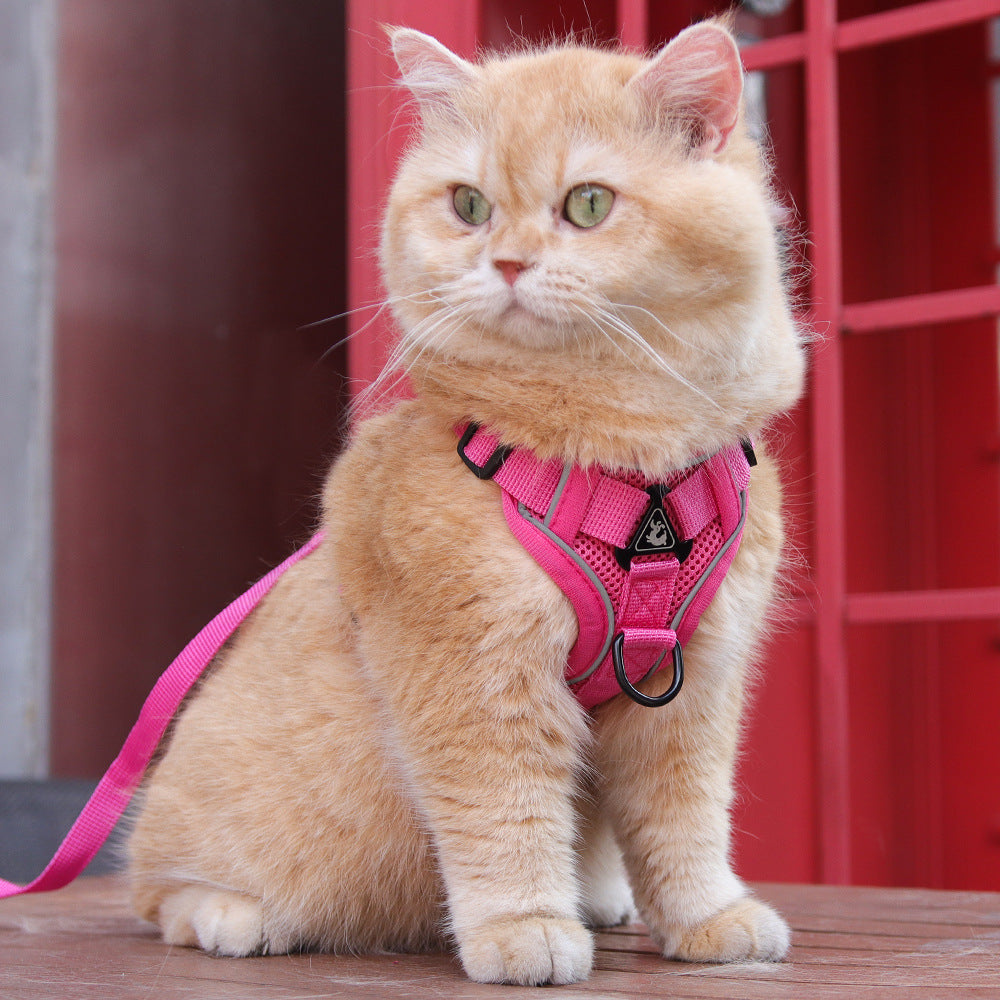 Rose Red Reflective Mesh Dog Harness and Leash Set - Adjustable No-Pull Vest - M