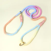 Colorful Vibrant Rainbow Ombre Rope Dog Leash - Durable Nylon P-Chain Slip Lead for Small & Medium Breeds