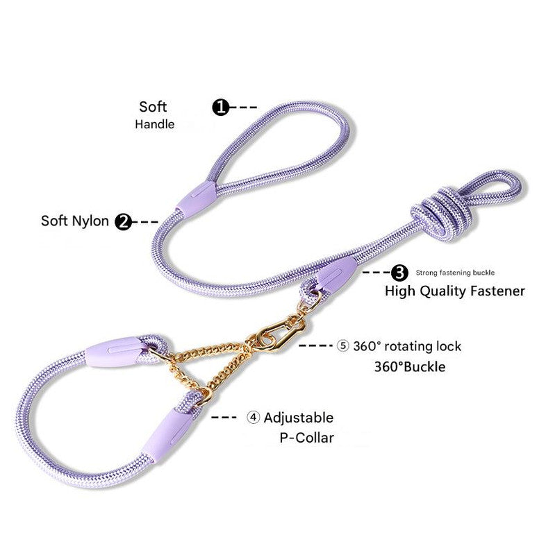 Blue Durable Nylon P-Collar Dog Training Set - Heavy Duty Leash & Martingale Collar (Size : S)