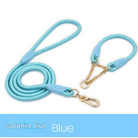 Blue Durable Nylon P-Collar Dog Training Set - Heavy Duty Leash & Martingale Collar (Size : L)