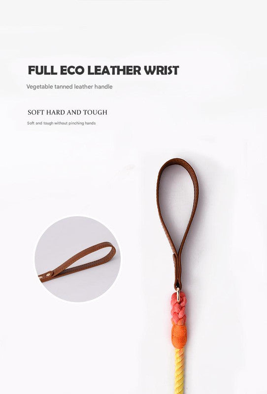 Premium Leather Pet Collar and Leash - Soft, Strong Braided Rope (Green - Size L)