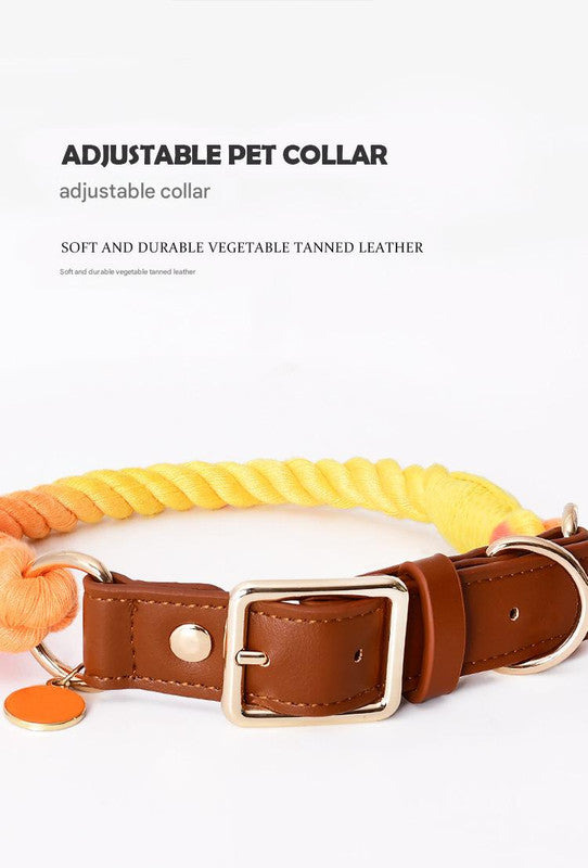 Premium Leather Pet Collar and Leash - Soft, Strong Braided Rope (Pink green - Size M)